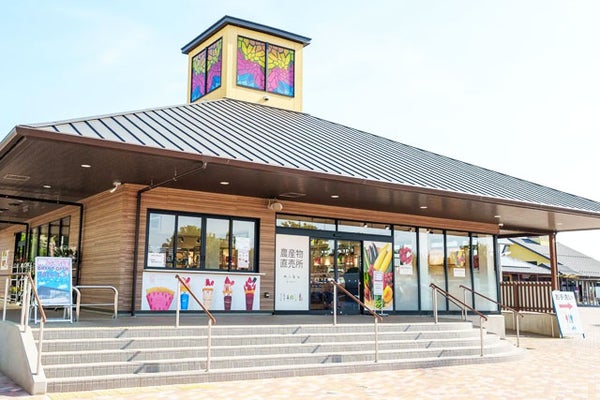 【東京発】<全日程7980円入園料込み席数限定!!>秋の「ひたち海浜公園」もこもこ丘一面に広がるコキア&日本三大イルミネーション「あしかがフラワーパーク」光と花のコラボで幻想の世界へ♪ 日帰りバスツアー2